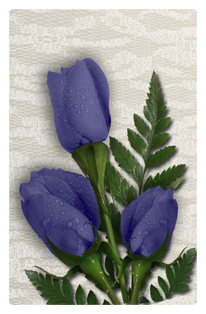 DF35T 055 2 Roses Purple